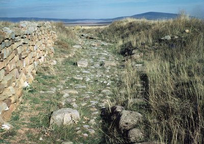 Remains of the Walls of the Iberian City Conquered by Scipio Aemilianus in 133 BC by Iberian